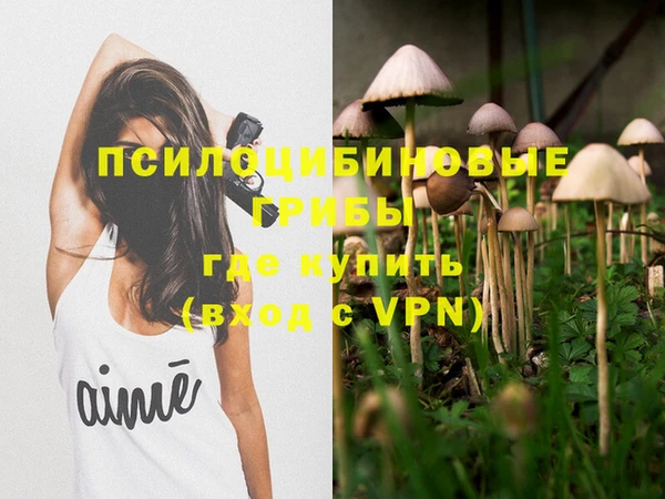 СК Волосово