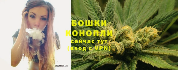 СК Волосово