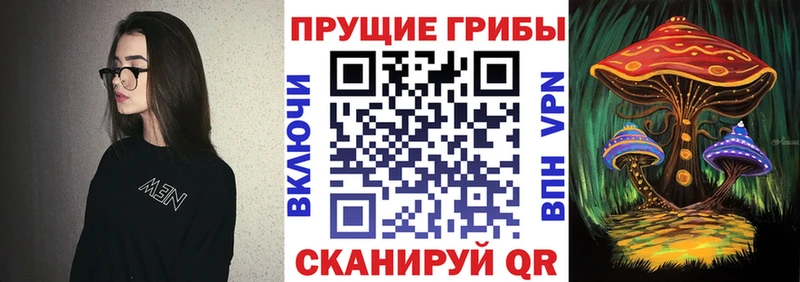 Галлюциногенные грибы прущие грибы  Выборг 