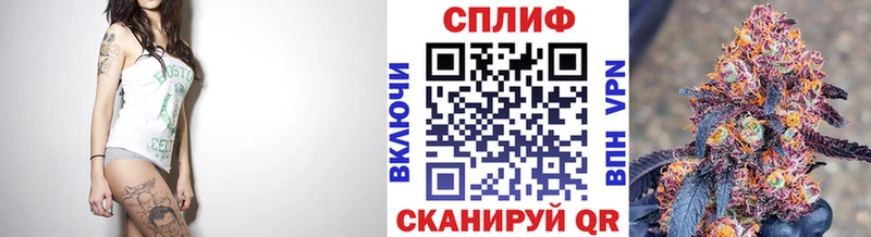 Бошки марихуана MAZAR  где продают наркотики  Выборг 